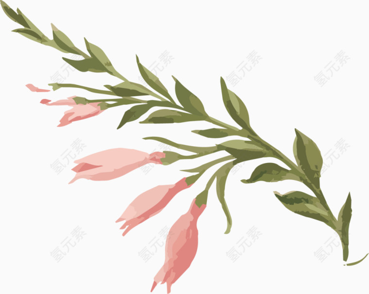 手绘水彩粉色花朵