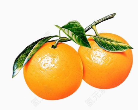 柑橘素材