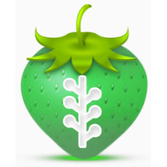 草莓strawberry-social-media-icon-set