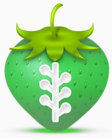 草莓strawberry-social-media-icon-set