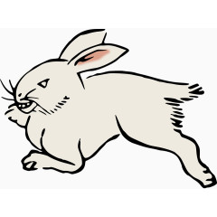 动物世界长兔跑步