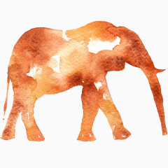 大象水彩画