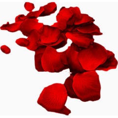 凌乱的红玫瑰花瓣