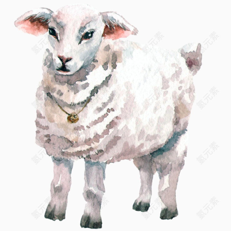 手绘水彩动物山羊