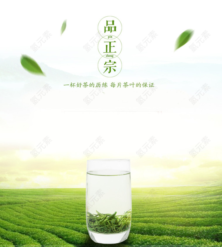 绿茶背景