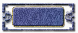 蓝色豹纹装饰板