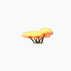 蘑菇透明元素