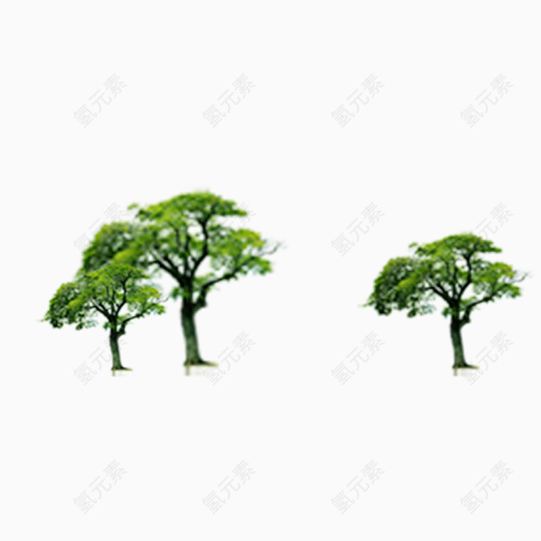 树木