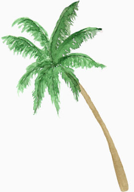 沙滩椰树素材