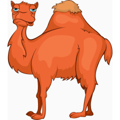 卡通可爱的骆驼