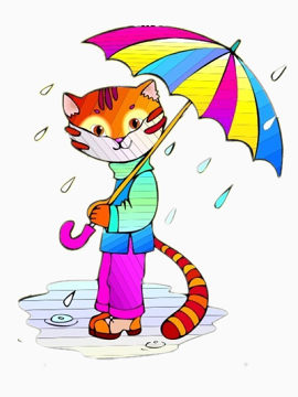 雨中的猫咪