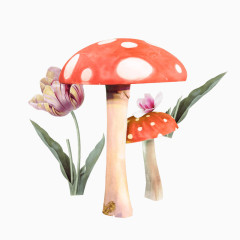 蘑菇花卉