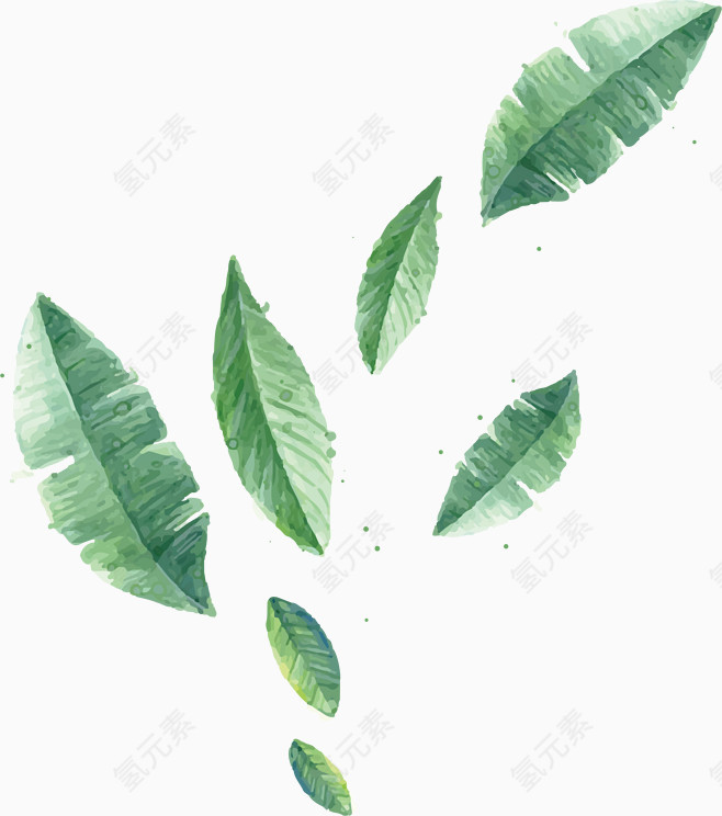 手绘绿色芭蕉叶子