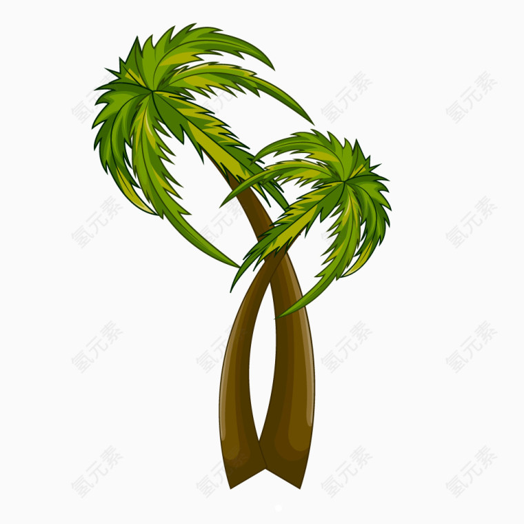 海南绿色生物椰子树