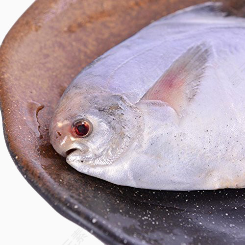 生鲜平鱼