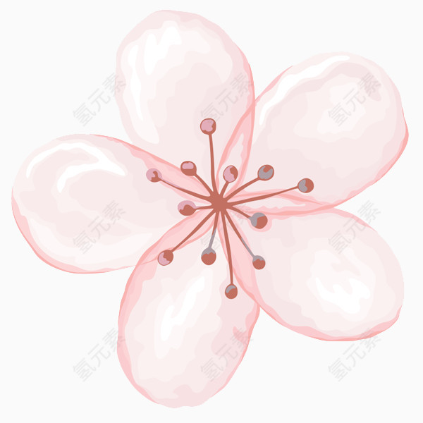 粉色彩绘花朵