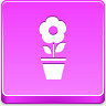 pot flower icon