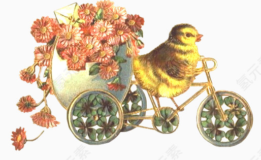 骑单车小鸡