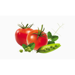 豌豆番茄