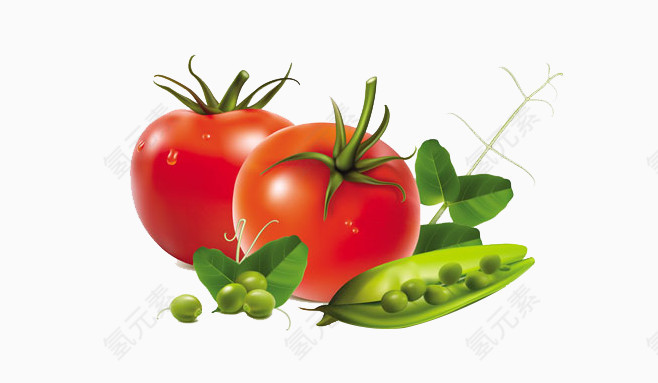 豌豆番茄