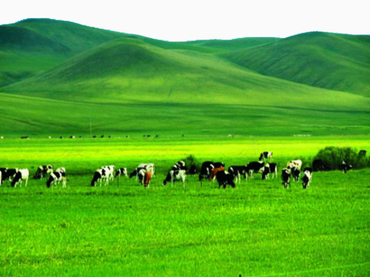 内蒙古呼伦贝尔草原风景图
