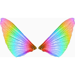 彩色翅膀