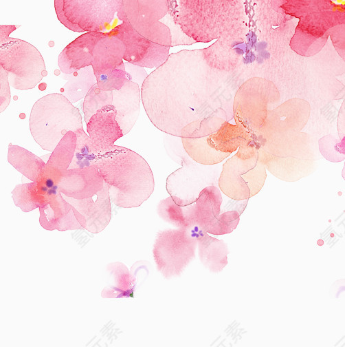 中国风粉红色水彩花朵