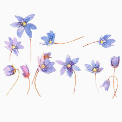 多个淡蓝色的花朵矢量图