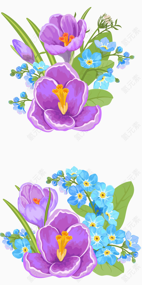 绽放的艳丽的紫色花朵