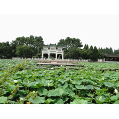 大观园景点