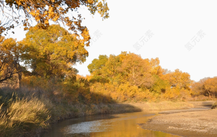 秋天的河边