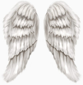 大天使羽翼