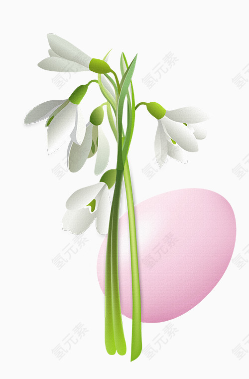花朵白色鸡蛋