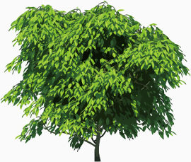 Green-Tree-icons