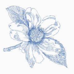 手绘线描花朵矢量素材