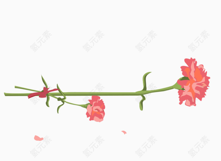 手绘康乃馨花朵
