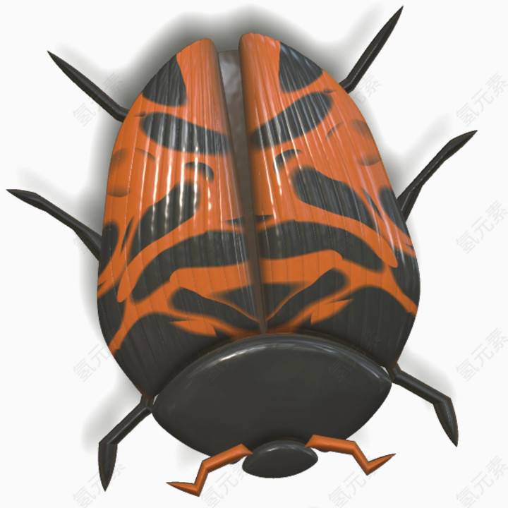 橘色甲壳虫