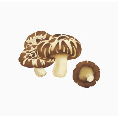 棕色的蘑菇