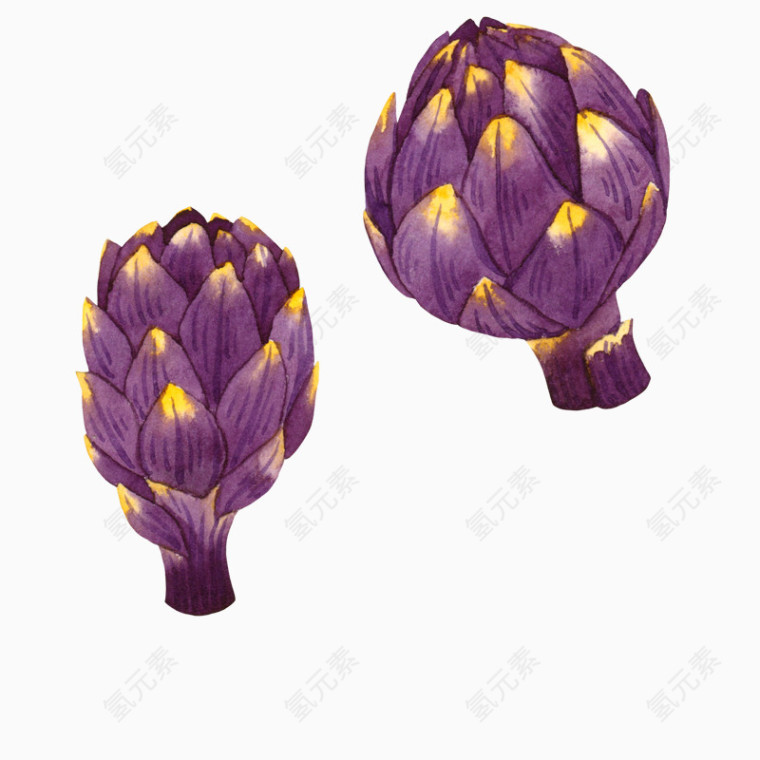 紫色水果