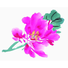 国画粉色花卉