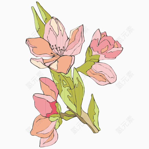 卡通手绘花卉植物 