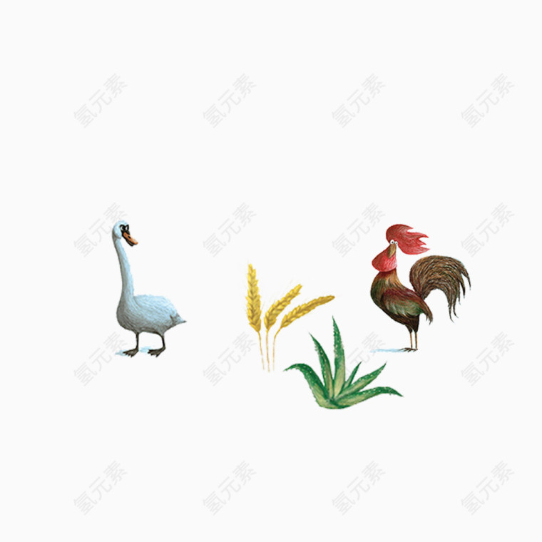 手绘动物之公鸡和白鹅