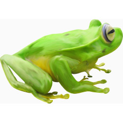 绿色大青蛙