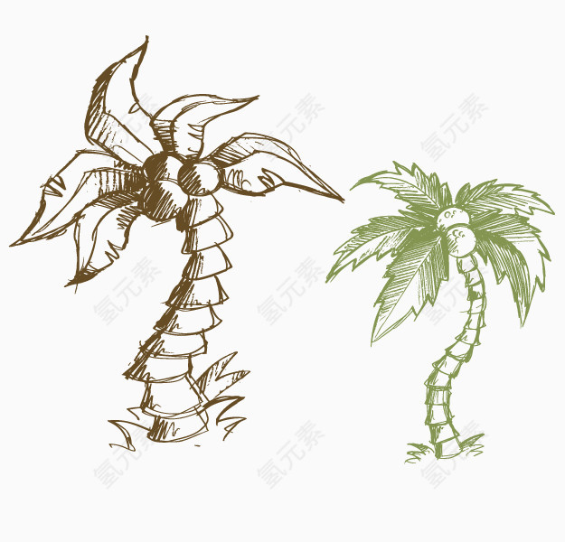 卡通手绘椰子树