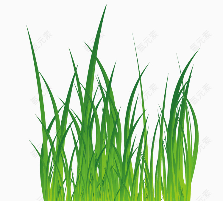 绿色葱茏小草