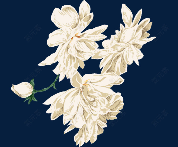 彩绘白色花