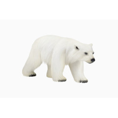 雪白雪白的北极熊