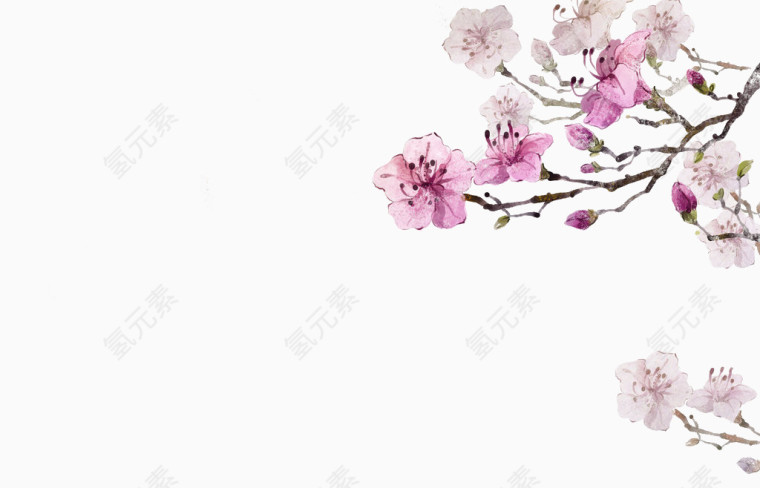 水墨粉色花卉