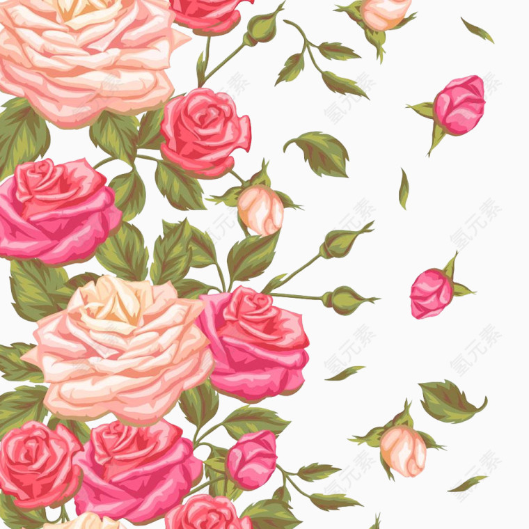 鲜艳的玫瑰花