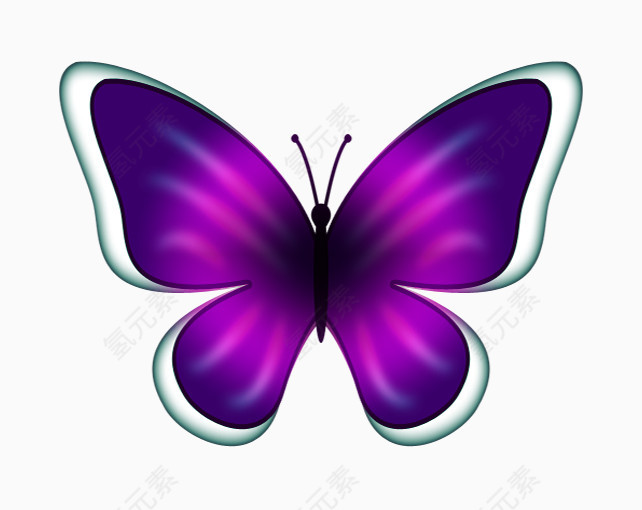 蝴蝶手绘紫色